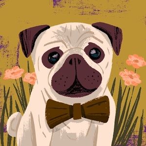 Meet your Posher, Emma